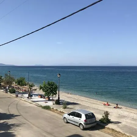 Natalia Couette-café 3*